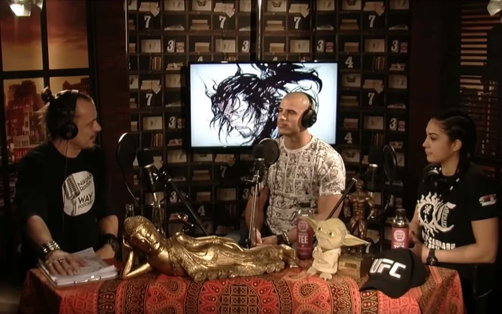 WAY Podcast Nikola Radin