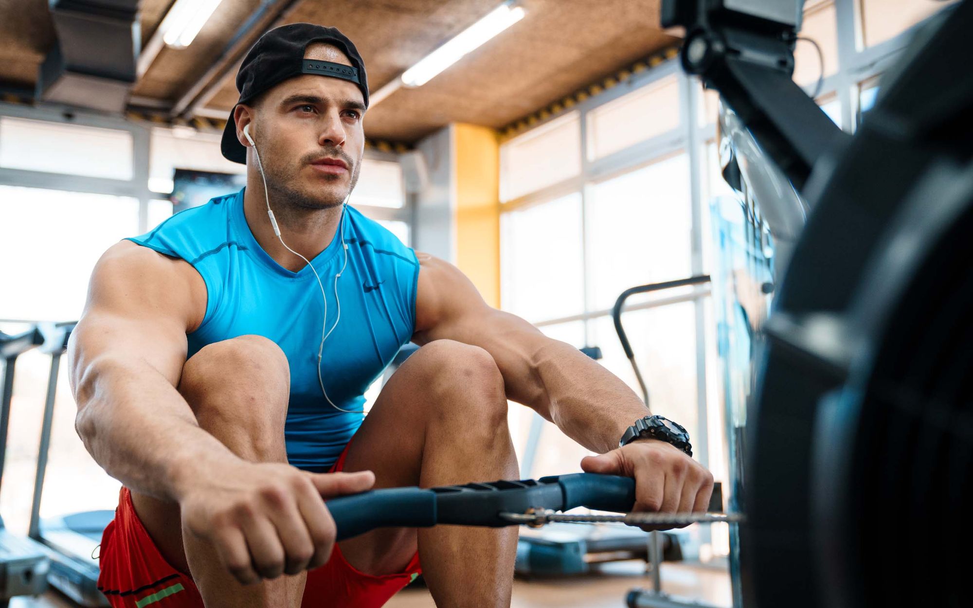 Sunce, disanje, san i Cregaatine